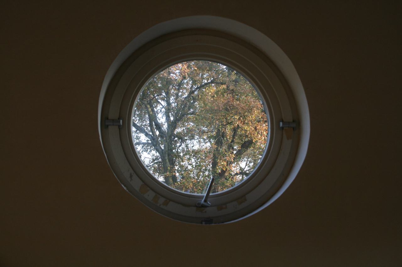 diverse_-_05_25_20121114_1668396480